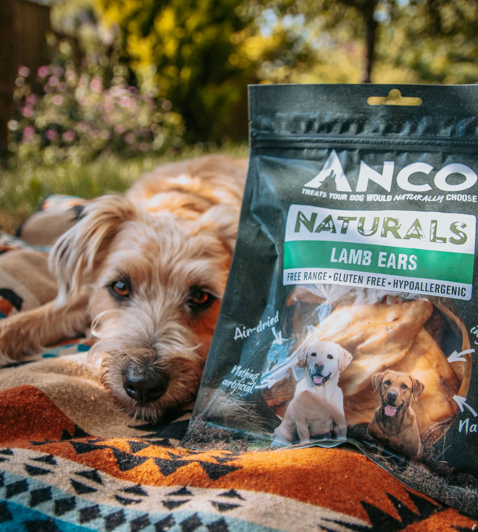 Anco - Naturals - Lamb Ears - 100g