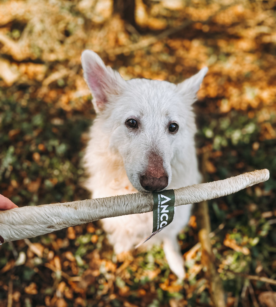 Anco - Naturals - Hairy Giant Bully Stick