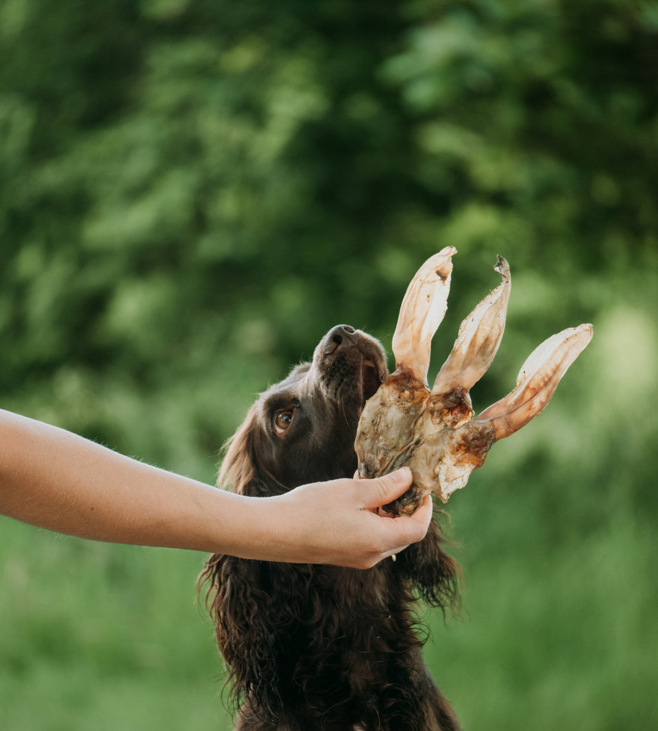 Anco - Naturals - Rabbit Ears