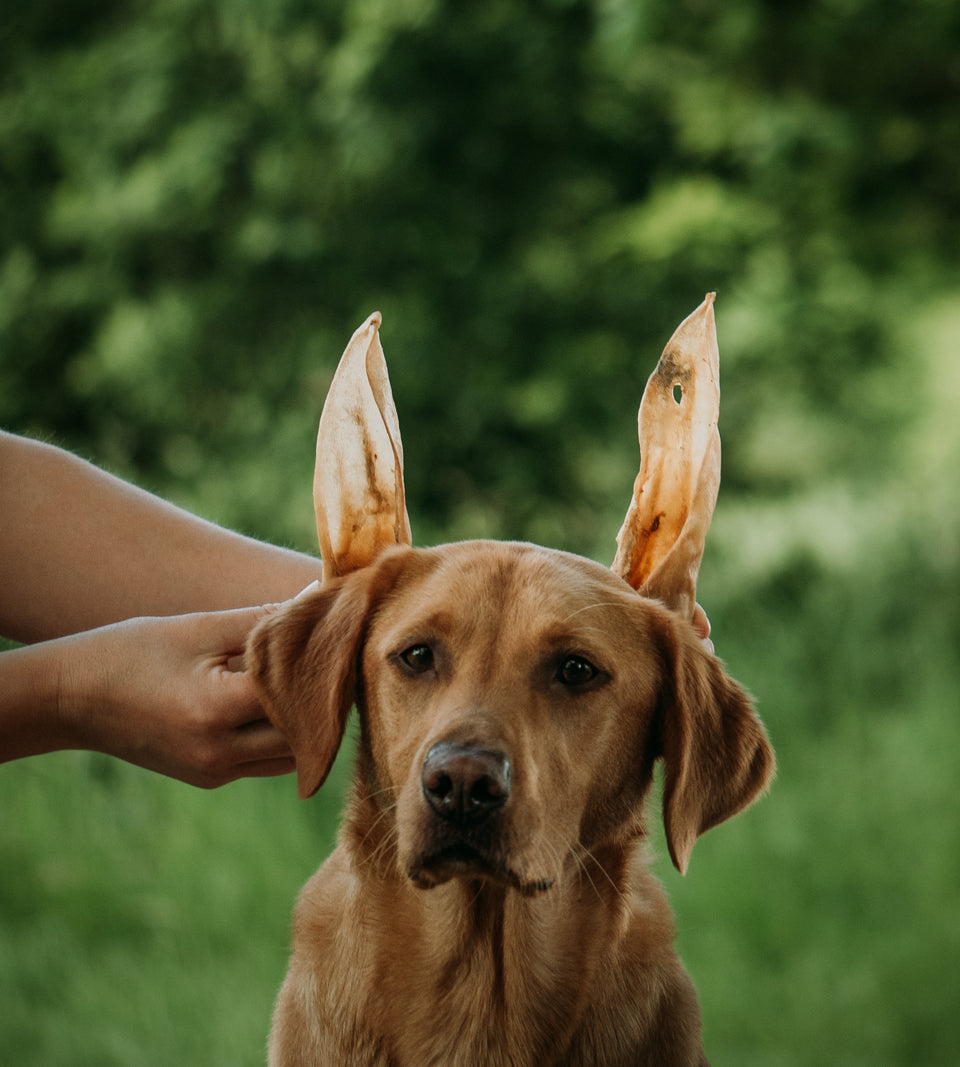 Anco - Naturals Goat Ears