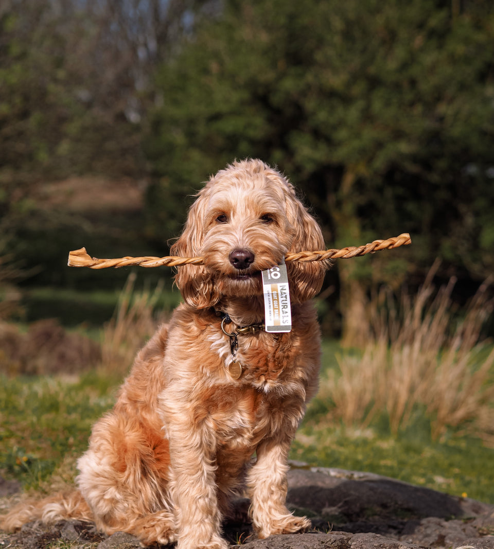 Anco - Naturals - Giant Goat Braid - 30cm