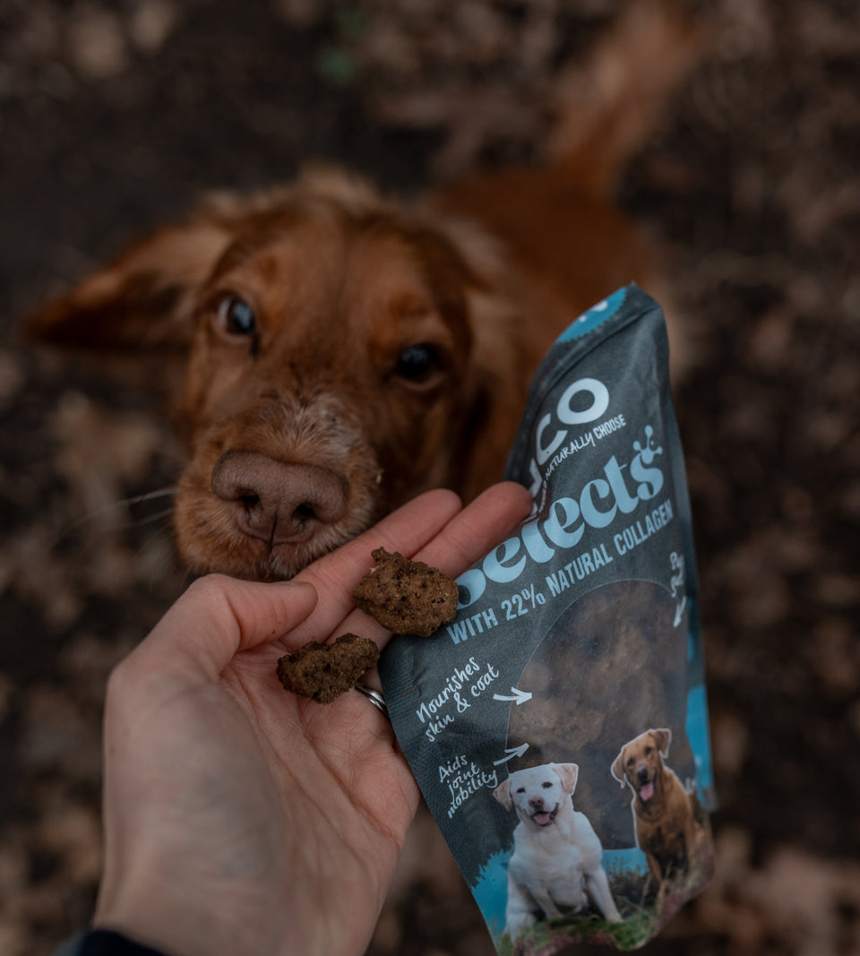 Anco - Selects - Duck Bites with Collagen