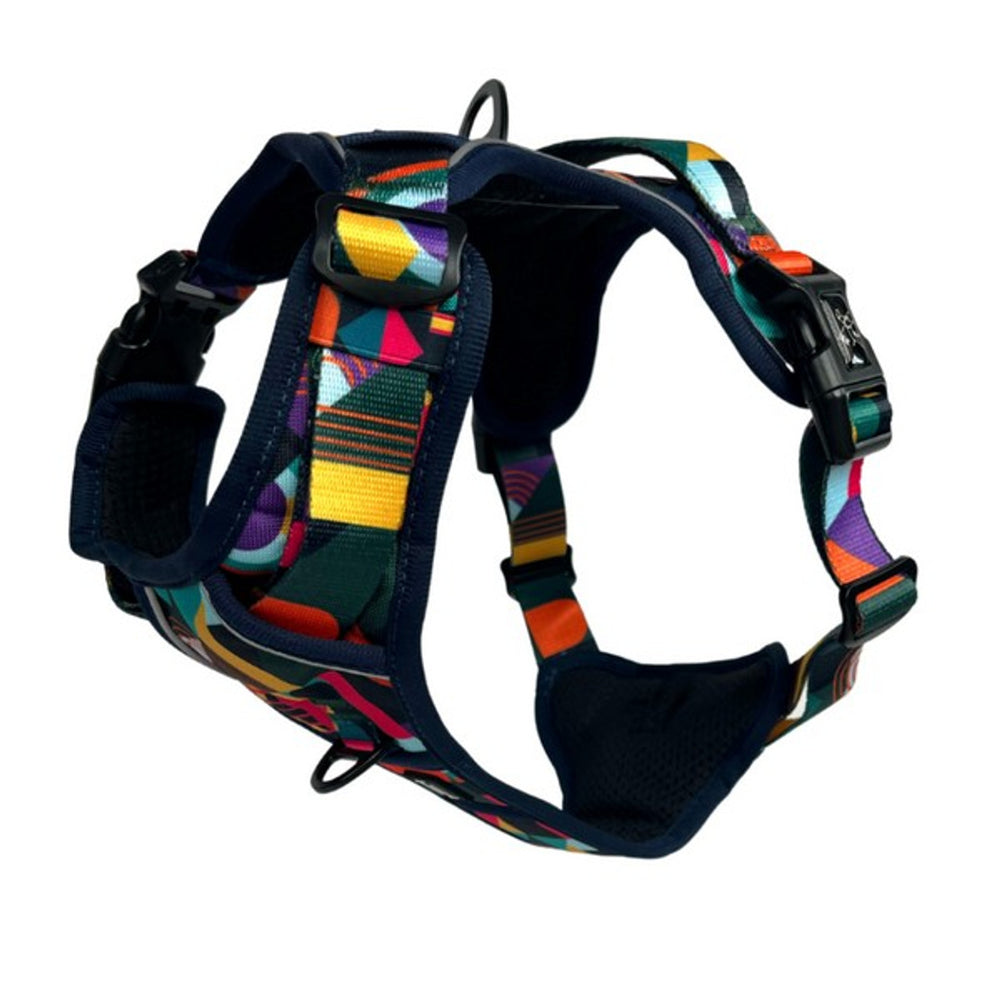 Twiggy Tags - Adventure Harness