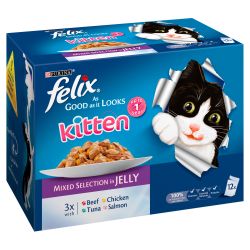 Felix - As Good As It Looks - Kitten Mixed Selection in Jelly -  12 Pack