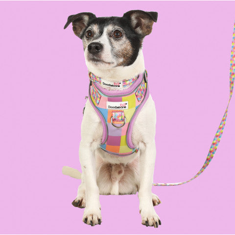 Doodlebone - Adjustable Airmesh Harness