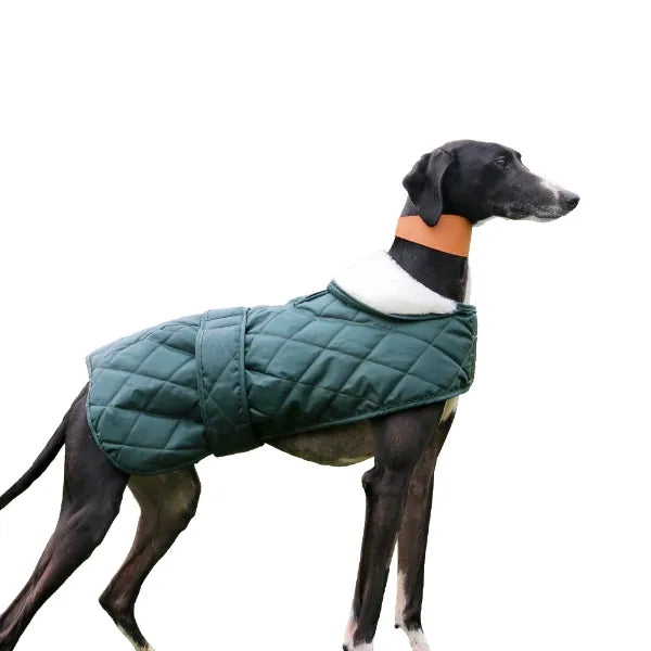 Ancol - Quilted Hound Coat