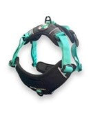 Bark & Ride - Lewis Adventure Harness