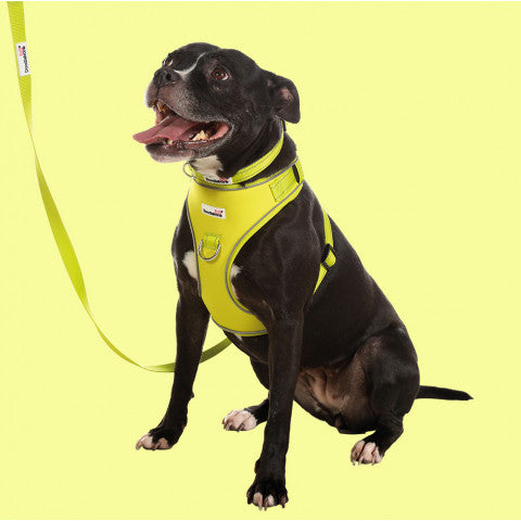 Doodlebone - Adjustable Airmesh Harness