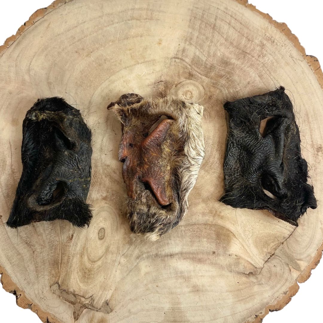 Paddock Farm - Hairy Beef Snout