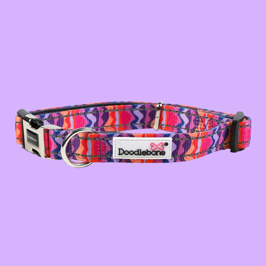 Doodlebone - Originals - Padded Pattern Collar