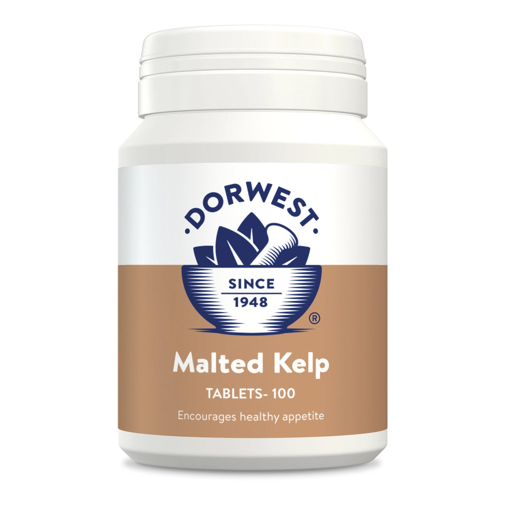 Dorwest - Malted Kelp Tablets - 100