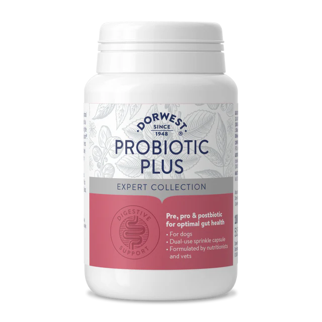 Dorwest - ProBiotic Plus