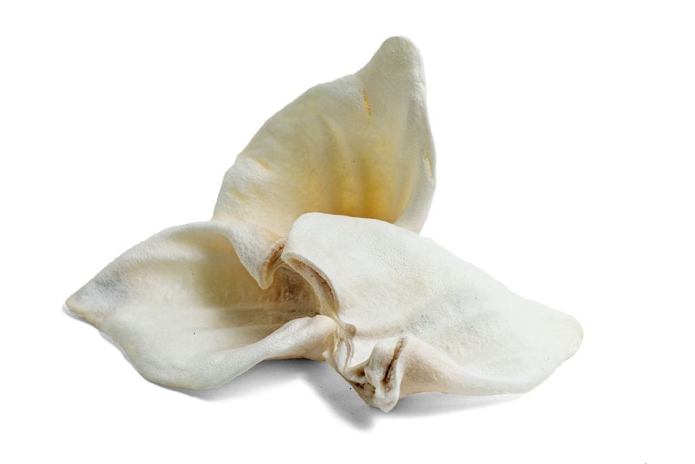 Antos - White Puffed Pig Ear