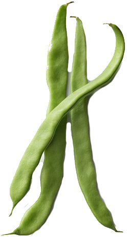 Runner Beans