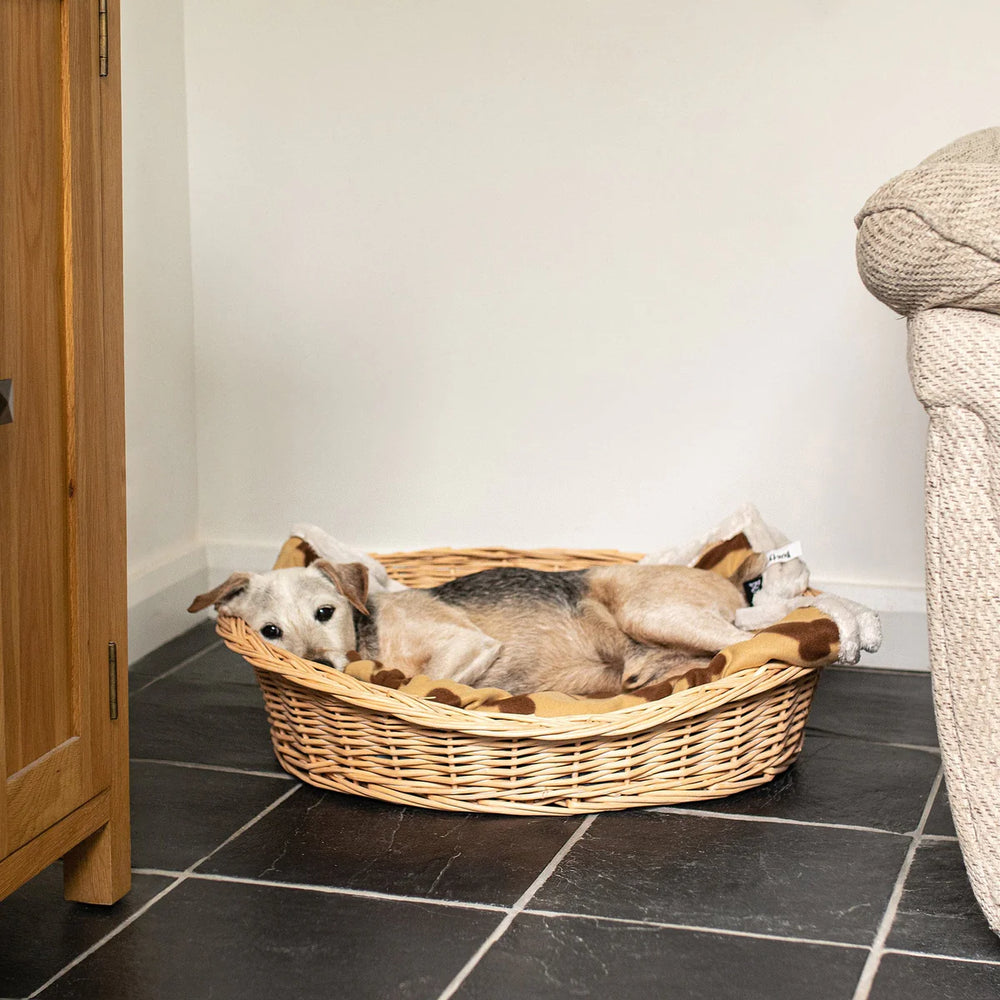 Bunty - Wicker Dog Basket