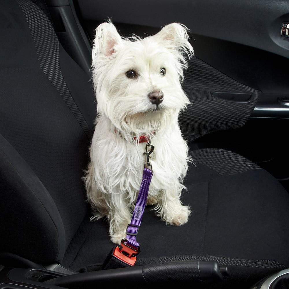 Bunty - Dog & Cat Seat Belt Safety Travel Restraint