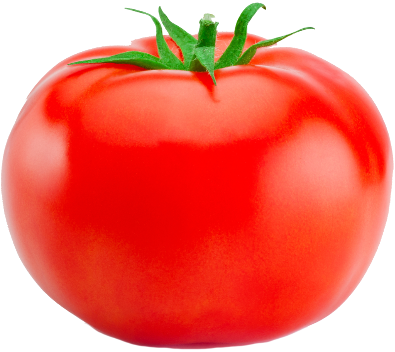 Tomato