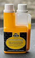 CSJ - TurmerDog!
